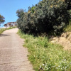 Отель Agriturismo Lo Scrigno, фото 17