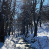 Отель Domek nad potokiem, фото 12