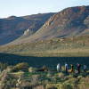 Отель Simbavati Cederberg Ridge, фото 27