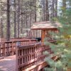 Отель Scenic Wonders Papa Bear Cabin 3 bedroom в Йосемити
