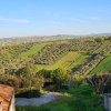Отель Amazing 2-bed Apartment in Paglieta for 6 People, фото 15