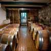 Отель Berenice Winery Villa, фото 20