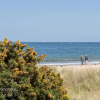 Отель Studland Cottage, фото 10