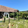 Отель Saschiz 130/Lodging and Glamping, фото 6