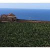 Отель Apartamento las Viñas 1, фото 15