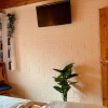 Отель Ferienpark - Komfort-Ferienhaus mitten in der Natur 5 Personen, фото 4