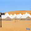 Отель Zhongwei Shapotou No.66 Desert Camping Base, фото 5
