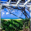 Отель Villa Island Breeze, фото 1