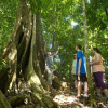 Отель Bosque del Cabo Rainforest Lodge, фото 9