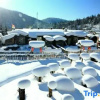 Отель Wuchang Xuegu Jinxiu Inn, фото 1