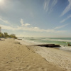 Отель Coquina On The Beach, фото 15