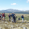 Отель Venabu Fjellhotell, фото 8