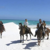 Отель Crayfish Lodge Sea & Country Guest House, фото 14