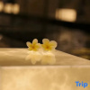 Отель Yuanmou Grand Hotel, фото 10