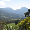 Отель Huon Valley Bed & Breakfast, фото 18