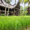 Отель Bambu Indah Resort, фото 10