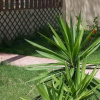 Отель Villa Las Mogarizas, фото 5