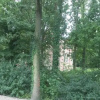 Отель van Balveren, фото 17