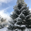 Отель Sapanca Villa Natura Gol Evi, фото 34