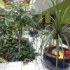 Отель Balneario Pozo de la Salud, фото 8