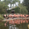 Отель Village Vacances 4 etoiles LES MATHES AUX CHARMETTES, фото 14