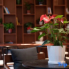Отель Poltton International Apartment (Liuzhou Yaobu Old Town), фото 4