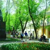 Гостиница Mini Hotel Bambuk na Smolenskoy, фото 12