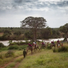 Отель Elewana Loisaba Tented Camp, фото 18