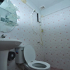 Отель Phi Phi Backpacker - Hostel, фото 8