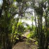 Отель Studio in Piton Saint-leu, With Wonderful sea View, Pool Access, Enclo, фото 13