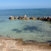 Отель Royal Reef, фото 4
