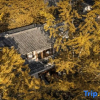 Отель First Sight Boutique Cottage, фото 6