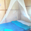 Отель Nusha Homestay, фото 1
