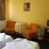 Отель Pensiunea Gil, фото 3