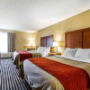 Отель Comfort Inn Owatonna near Medical Center, фото 3