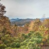 Отель Hiawassee Cabin w/ Mtn Views < 1 Mi to Lake!, фото 18
