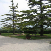 Отель B&B Il Cascinale, фото 11