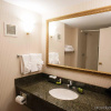 Отель Embassy Suites by Hilton Detroit Livonia Novi, фото 20