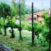 Отель House With 6 Bedrooms in Mombarcaro, With Wonderful Mountain View, Pri, фото 35