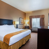 Отель Holiday Inn Express Hotel & Suites Houston-Alvin, an IHG Hotel, фото 5