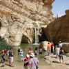 Отель Villa Atlas Oasis, фото 15