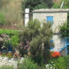 Отель Arodaphne Cottage, фото 5
