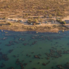 Отель Explorers Little Mongena Tented Camp, фото 13