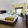 Отель Holiday Inn Express & Suites Tampa-I-75 @ Bruce B. Downs, an IHG Hotel, фото 4
