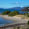 Отель Swansea Cottages & Lodge Suites, фото 18