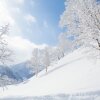 Отель Holiday Niseko Kumajiro, фото 5