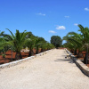 Отель Tenuta Santa Giovanna, фото 13