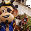 Отель BIG4 NRMA Treasure Island Holiday Park, фото 33