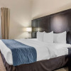 Отель Comfort Inn & Suites Atlanta/Smyrna, фото 3