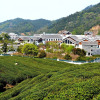 Отель Yangming Springs and Spa Resort, фото 20
